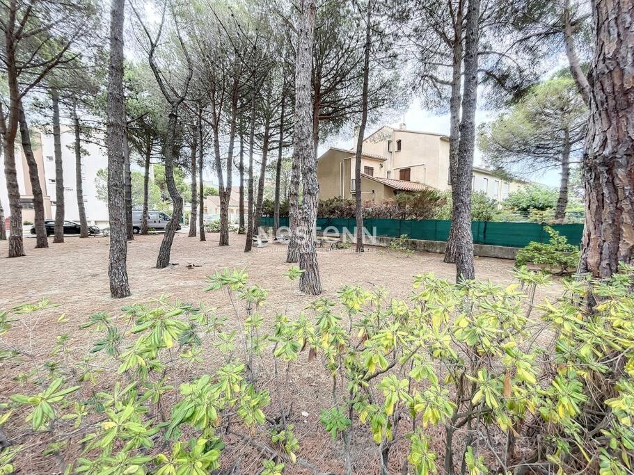 2980-Appartement 1 Ch A 100M De La Mer アルジェレス・シュル・メール エクステリア 写真
