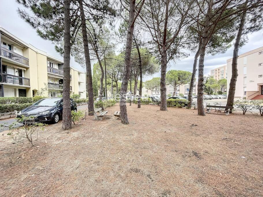 2980-Appartement 1 Ch A 100M De La Mer アルジェレス・シュル・メール エクステリア 写真